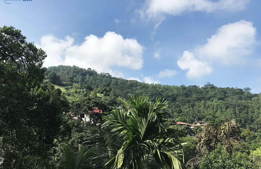 Cloud Inn Kandy Homestay - Near Temple Of Tooth - Free Pickup From Kandy City If 2Ngt-1